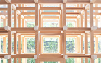 FotosNota2-Junio (6)